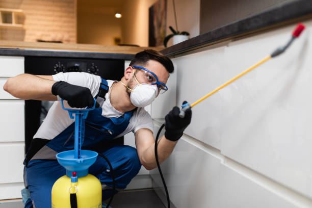 Best Best Pest Control Companies  in Pinch, WV