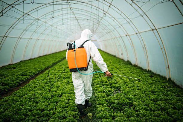 Best Pest Removal Services  in Pinch, WV